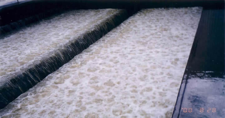 滤池